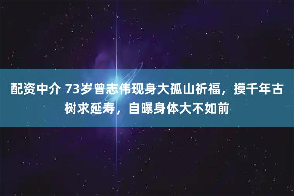 配资中介 73岁曾志伟现身大孤山祈福，摸千年古树求延寿，自曝身体大不如前
